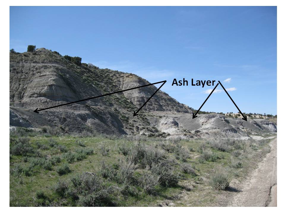 Picture Big Cedar Ridge Late Cretaceous fossil ash layer