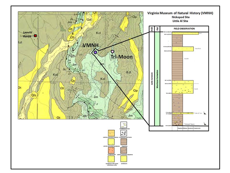Geologic map and stratigraphic column of VMNH quarry, Big Horn County, Wyoming