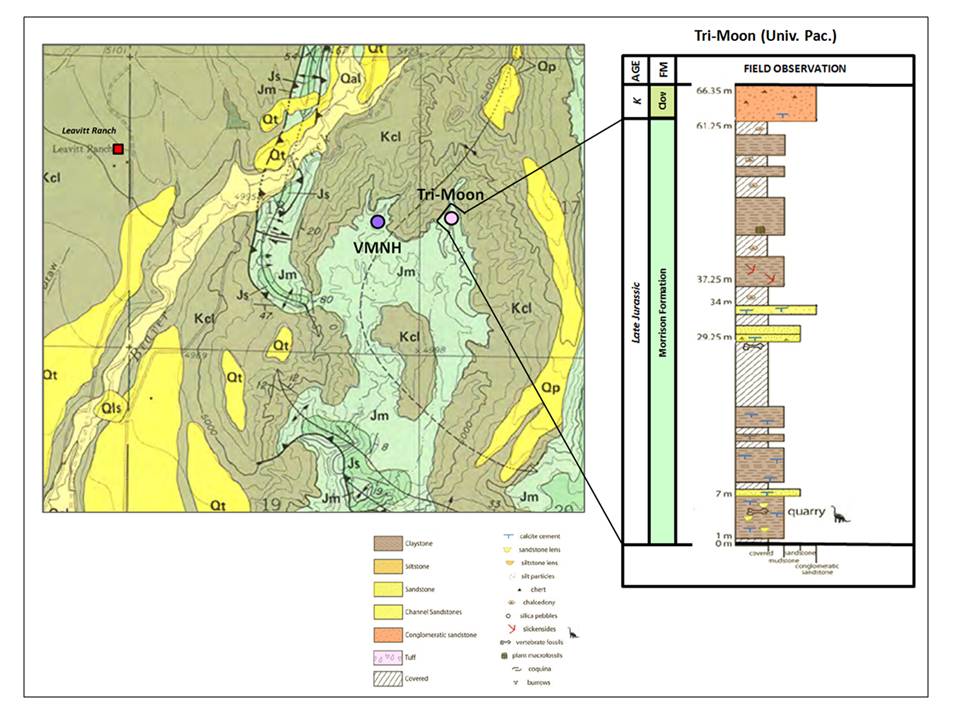 Geologic map and stratigraphic column of Tri-Moon Quarry, Big Horn County, Wyoming