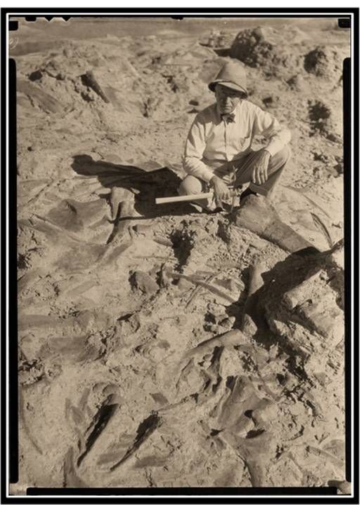 Picture of Barnum Brown at Howe Dinosaur Quarry, 1934, Big Horn County, Wyoming